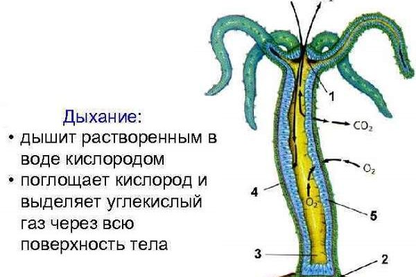 Как загрузить фото на мегу через телефон