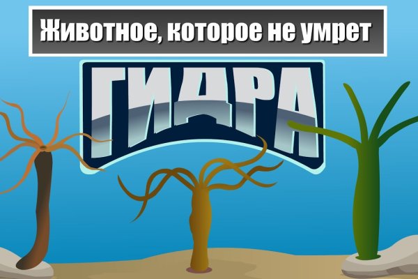 Как загрузить фото в диспут тор мега