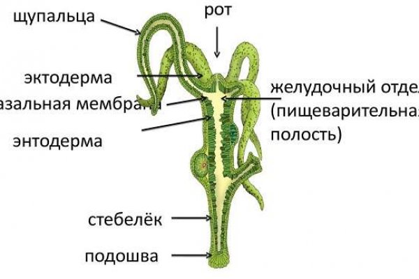 Что делать если забанили на блэкспрут