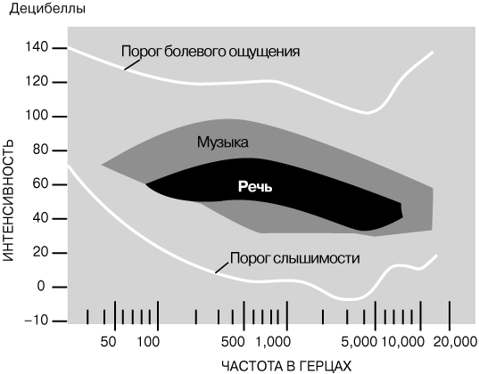 Mega ссылка